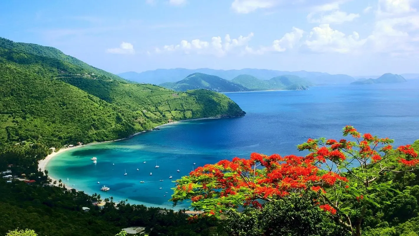 科技高标准高端